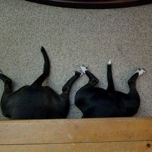 Meet your Posher, Kristen